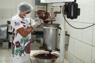 Processamento de açaí em agroindústria no município de Feijó, no Acre