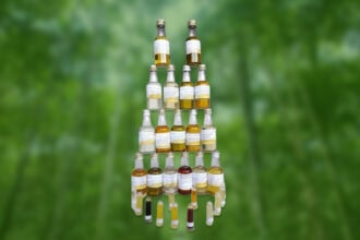 Óleos fixos exigem investimento na cadeia produtiva. A extração é apenas parte do processo. Após coleta, deveria haver uma indústria associada à extração.