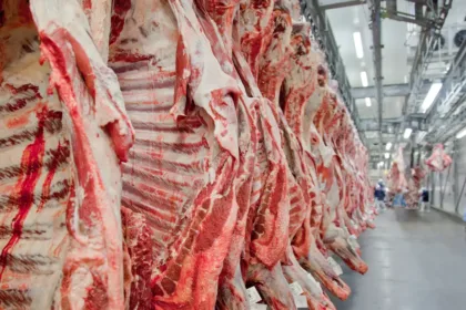 Carcaças de carne bovina armazenadas em frigorífico antes da exportação.