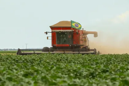 Colheita de grãos e pecuária representam crescimento da agropecuária brasileira.