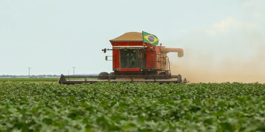 Colheita de grãos e pecuária representam crescimento da agropecuária brasileira.