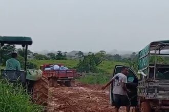 Produtores rurais enfrentam dificuldades no comércio de castanha na Transacreana.