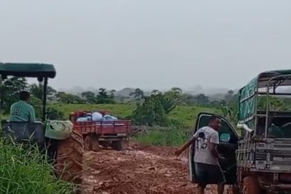 Produtores rurais enfrentam dificuldades no comércio de castanha na Transacreana.