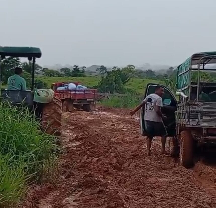 Produtores rurais enfrentam dificuldades no comércio de castanha na Transacreana.