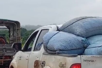 Trabalhadores extrativistas enfrentam exploração no preço da castanha em Nova Olinda.