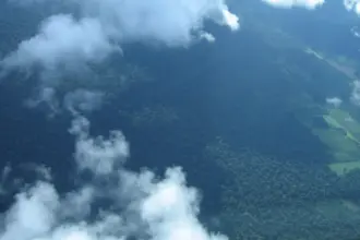 Vista aérea de área reflorestada na Amazônia com foco em crédito de carbono