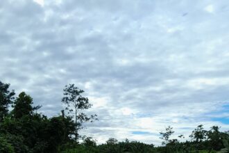 Até a direção do Ifac já indicou que pode suspender serviço de transporte de alunos porque a estrada não está oferecendo segurança. (Foto: Cedida)