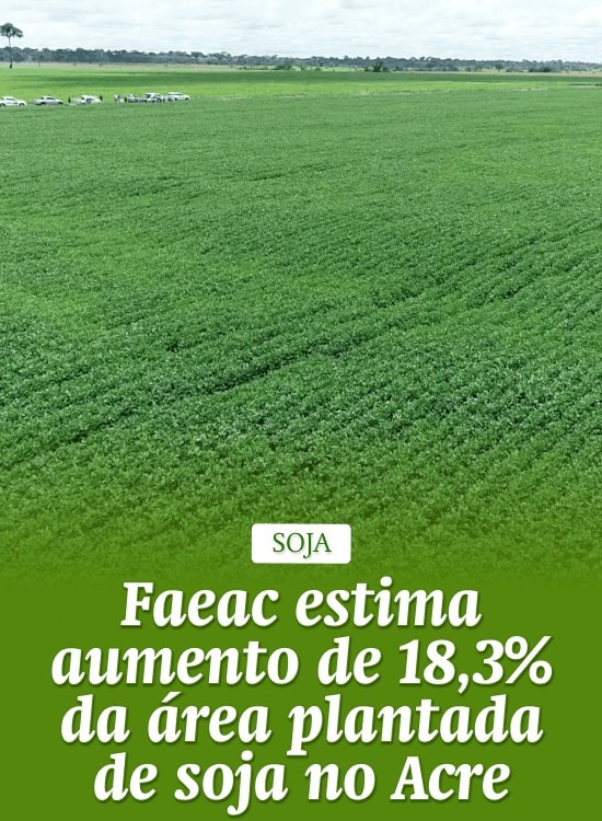 Faeac estima aumento de 18,3% da área plantada de soja no Acre