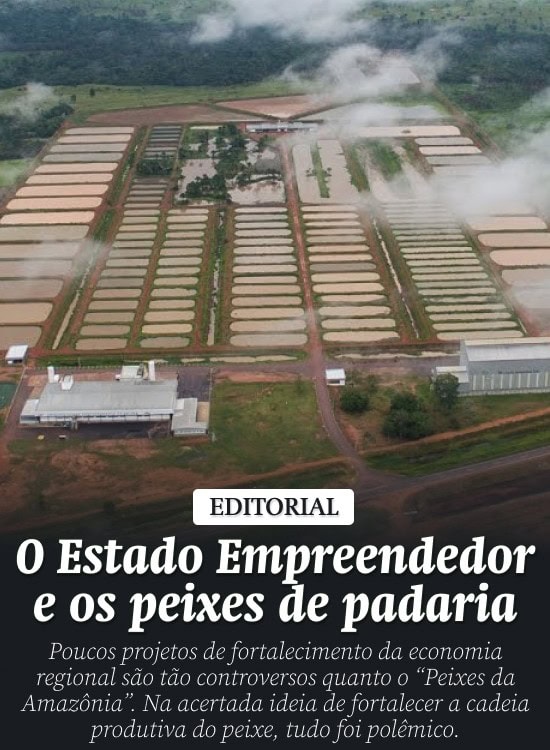 O Estado Empreendedor e os peixes de padaria