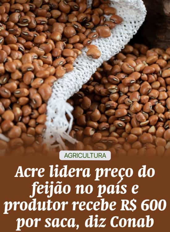 Acre lidera preço do feijão no país e produtor recebe R$ 600 por saca, diz Conab