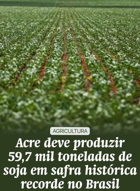 Acre deve produzir 59,7 mil toneladas de soja em safra histórica recorde no Brasil