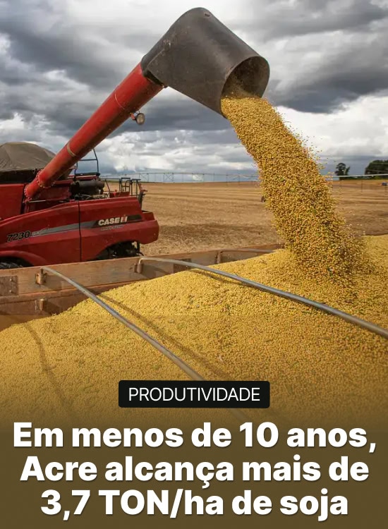 Em menos de 10 anos, Acre alcança mais de 3,7 TON/ha de soja