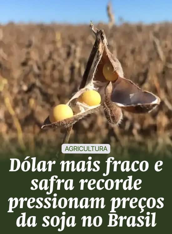 Dólar mais fraco e safra recorde pressionam preços da soja no Brasil