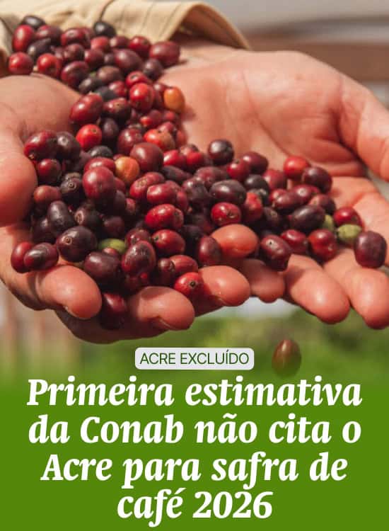 Primeira estimativa da Conab não cita o Acre para safra de café 2026