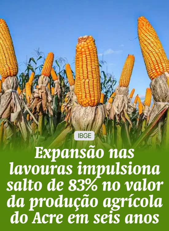 Expansão nas lavouras impulsiona salto de 83% no valor da produção agrícola do Acre em seis anos