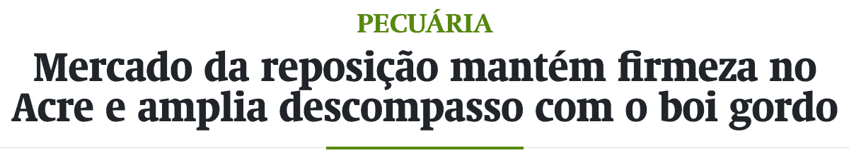 Mercado da reposição mantém firmeza no Acre e amplia descompasso com o boi gordo