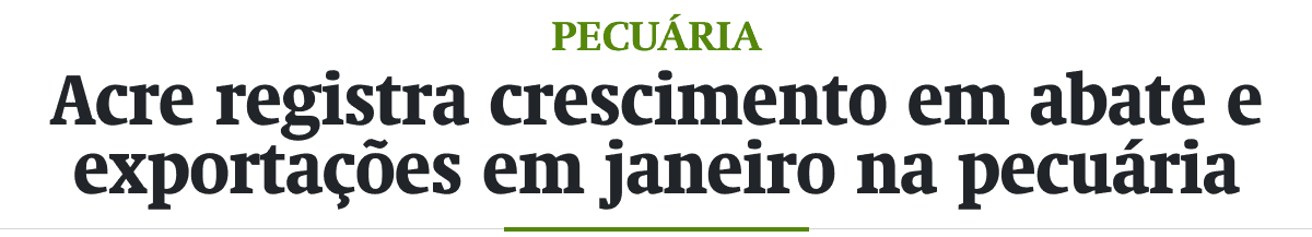 Acre registra crescimento em abate e exportações em janeiro na pecuária
