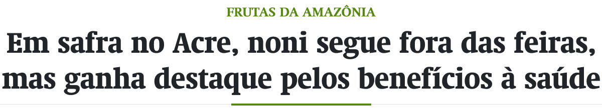Em safra no Acre, noni segue fora das feiras, mas ganha destaque pelos benefícios à saúde