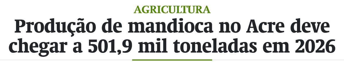 Produção de mandioca no Acre deve chegar a 501,9 mil toneladas em 2026
