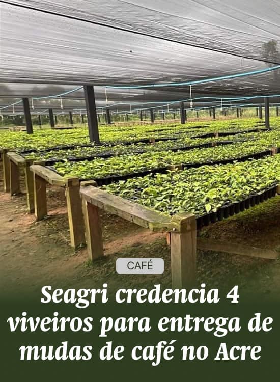 Seagri credencia 4 viveiros para entrega de mudas de café no Acre