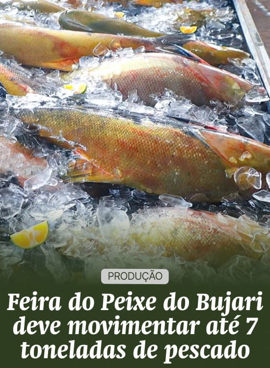 Feira do Peixe do Bujari deve movimentar até 7 toneladas de pescado