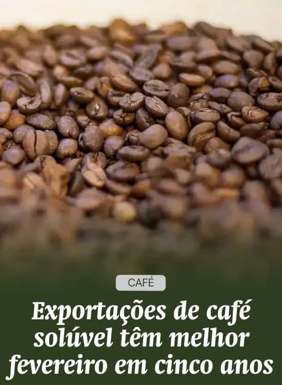 Exportações de café solúvel têm melhor fevereiro em cinco anos