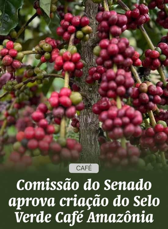 Comissão do Senado aprova criação do Selo Verde Café Amazônia