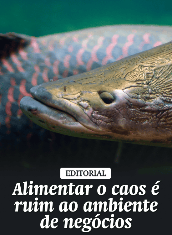 Alimentar o caos é ruim ao ambiente de negócios