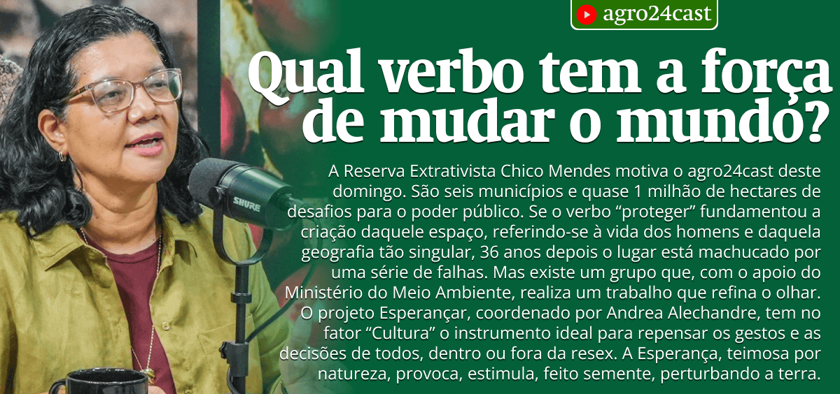Qual verbo tem a força de mudar o mundo?