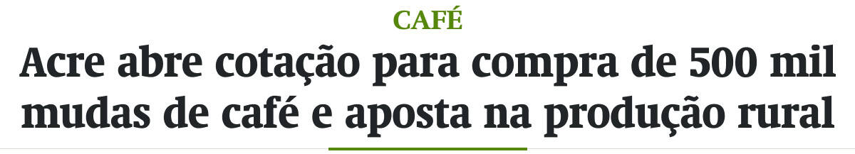 Acre abre cotação para compra de 500 mil mudas de café e aposta na produção rural