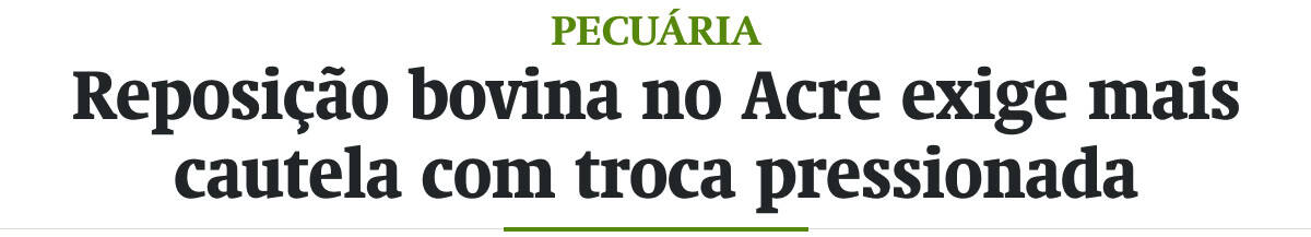 Reposição bovina no Acre exige mais cautela com troca pressionada