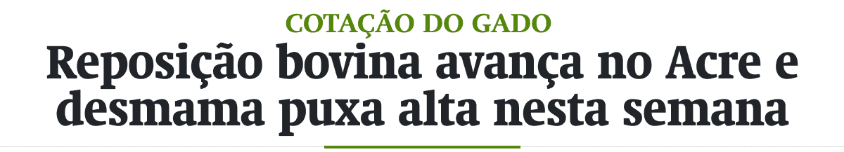 Reposição bovina avança no Acre e desmama puxa alta nesta semana