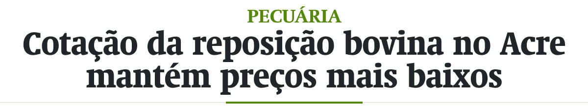 Cotação da reposição bovina no Acre mantém preços mais baixos