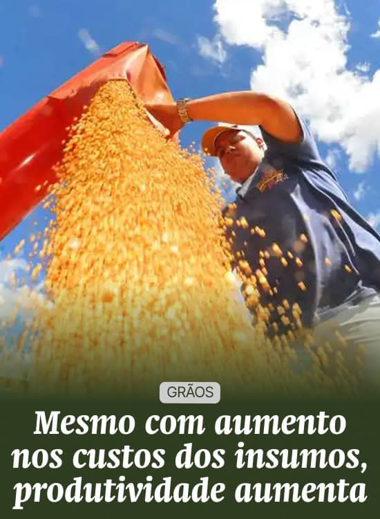Mesmo com aumento nos custos dos insumos, produtividade aumenta