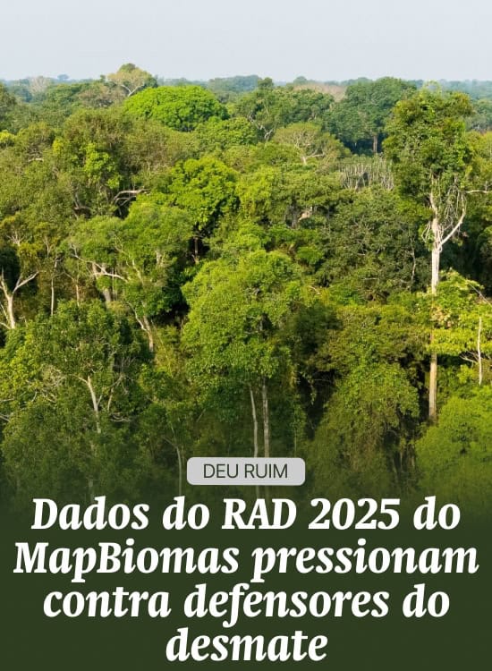 Dados do RAD 2025 do MapBiomas pressionam contra defensores do desmate