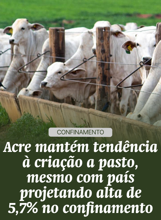Acre mantém tendência à criação a pasto, mesmo país projetando 5,7% de aumento no confinamento