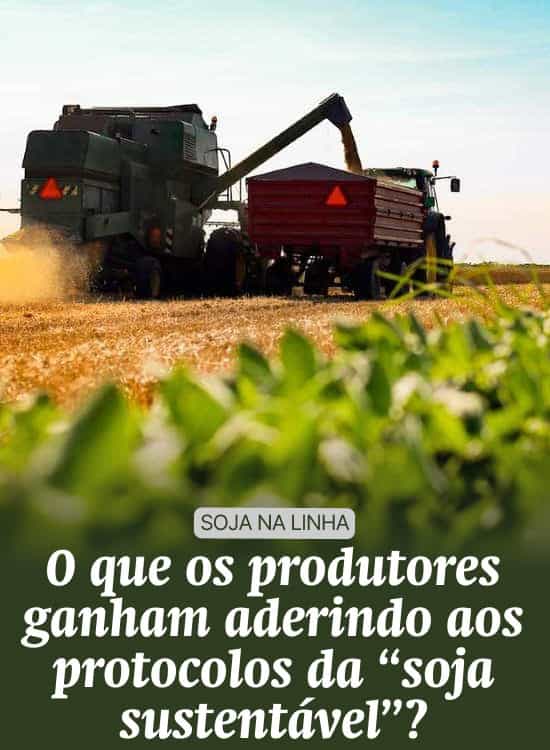O que os produtores ganham aderindo aos protocolos da “soja sustentável”?