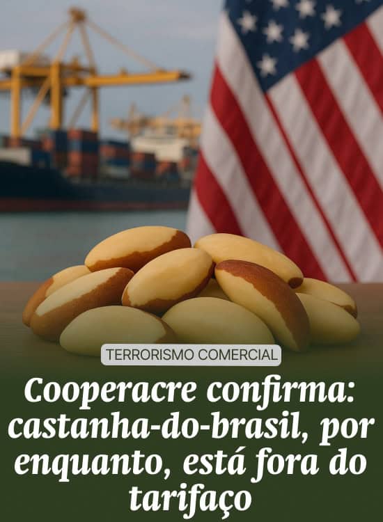 Cooperacre confirma: castanha-do-brasil, por enquanto, está fora do tarifaço