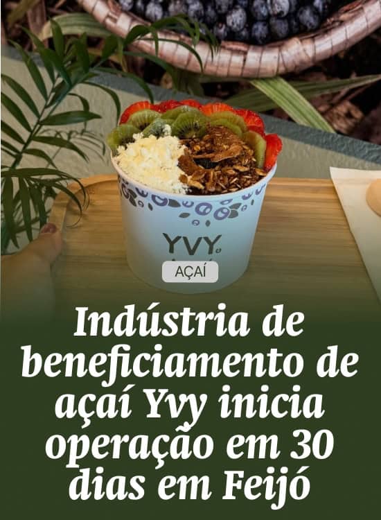 Indústria de beneficiamento de açaí Yvy inicia operação em 30 dias em Feijó
