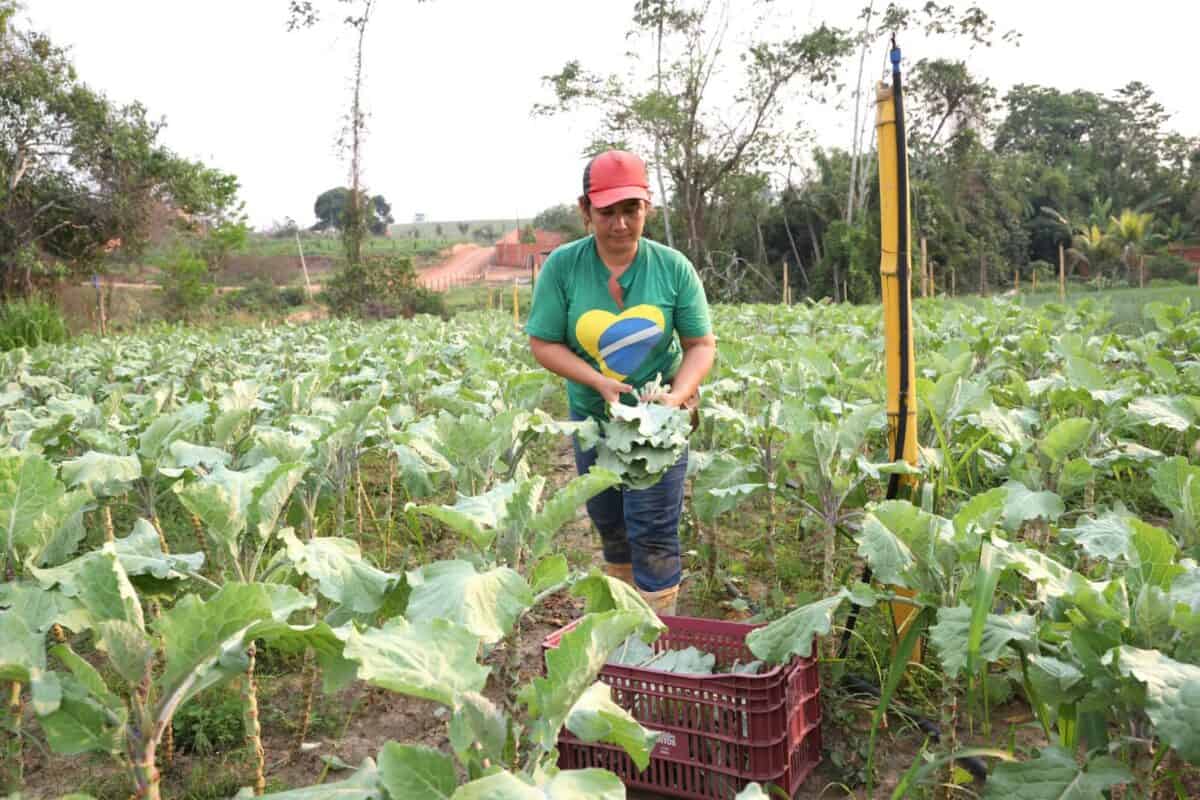 Governo do Acre amplia em 25% contrato com cooperativa da agricultura familiar