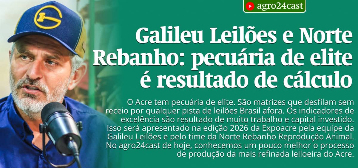 Galileu Leilões e Norte Rebanho: pecuária de elite é resultado de cálculo