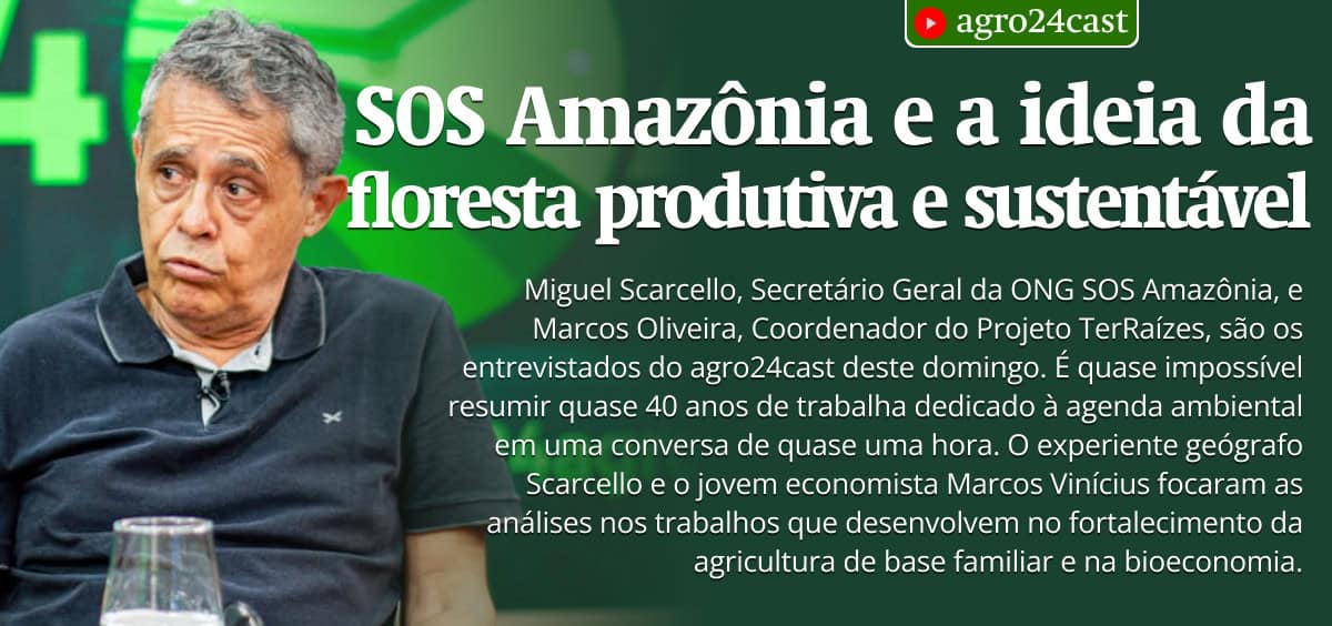 SOS Amazônia e a ideia da floresta produtiva e sustentável